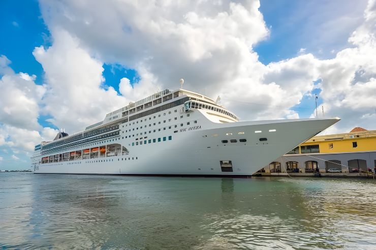 Illustrazione della MSC lirica (Depositphotos) (1)
