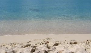 Illustrazione di una spiaggia caraibica (Depositphotos FOTO) - www.marinecue.it
