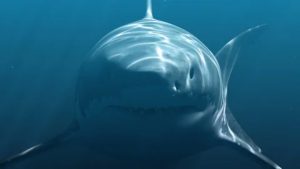 Megalodon