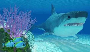 Megalodonte