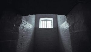 Illustrazione di una progione (Pexels FOTO) - www.marinecue.it