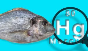 Mercurio nel pesce