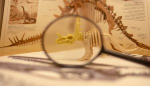dinosauro a lente d'ingrandimento