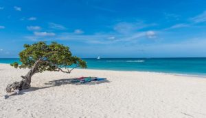 Aruba