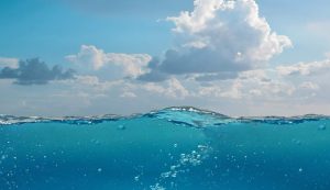 Illustrazione di un mare vuoto di specie (Pixabay FOTO) - www.marinecue.it