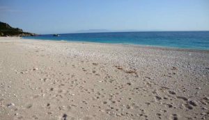 Illustrazione di una spiaggia (Depositphotos foto) - www.marinecue.it