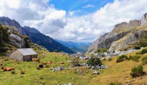 Montagne dell'Asturia