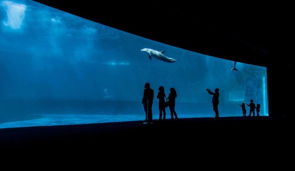 acquario di genova