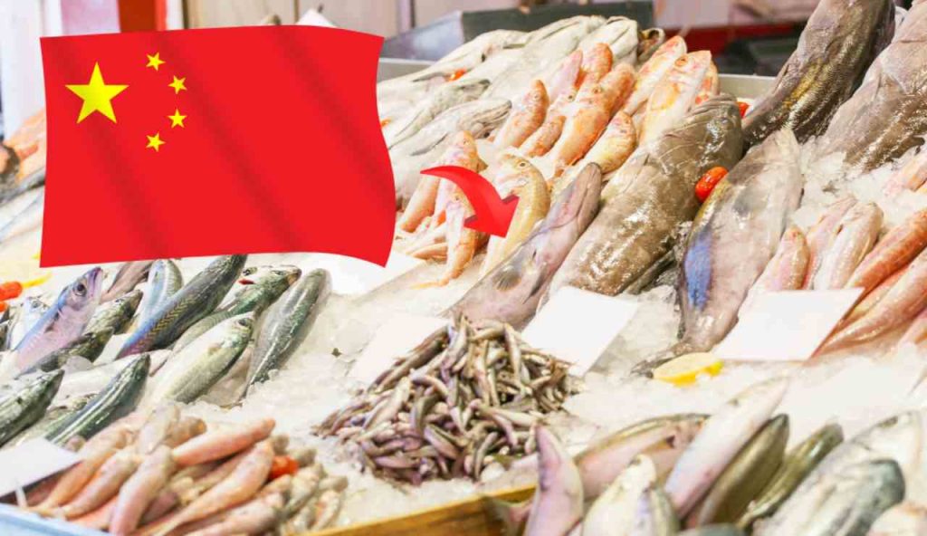 Illustrazione del mercato ittico cinese (Canva FOTO) - marinecue.it