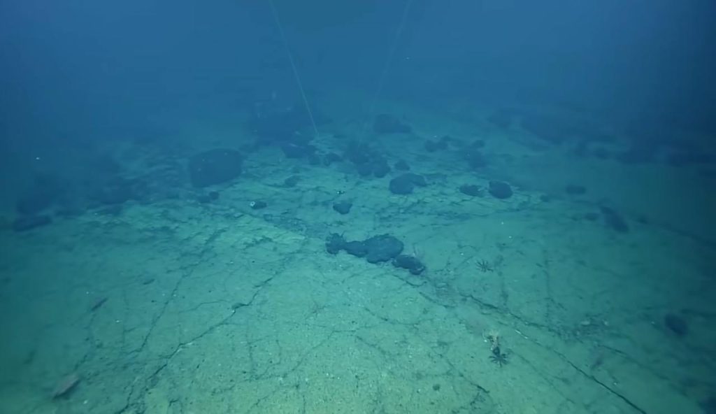 Illustrazione della strada (The Ocean Exploration Trust_E_V_Nautilus_YouTube Screen) - marinecue.it