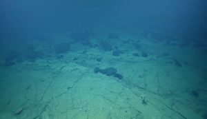 Illustrazione della strada (The Ocean Exploration Trust_E_V_Nautilus_YouTube Screen) - marinecue.it