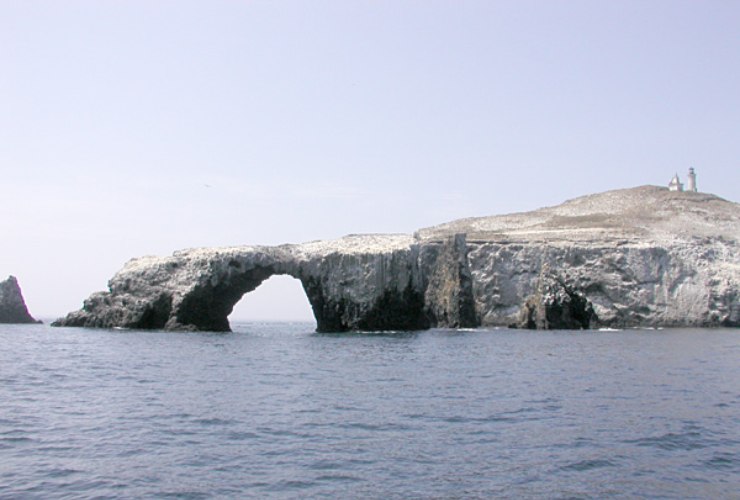 Illustrazione dell'isola di Anacapa (Wikipedia Image taken by Clark Anderson_Aquaimages FOTO) -