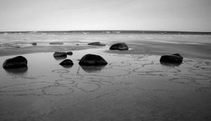 Illustrazione di alcuni cerchi in mare (Pexels FOTO) - marinecue.it
