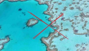 Illustrazione di una barriera corallina che sta scomparendo (Pixabay FOTO) - marinecue.it