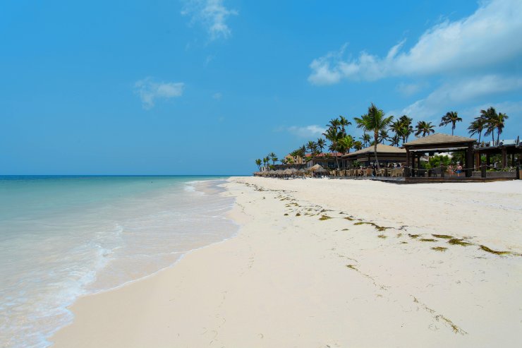Illustrazione di una spiaggia di Aruba (Pexels FOTO) - marinecue.it