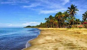 Illustrazione di una spiaggia isolata (Pixabay FOTO) - marinecue.it