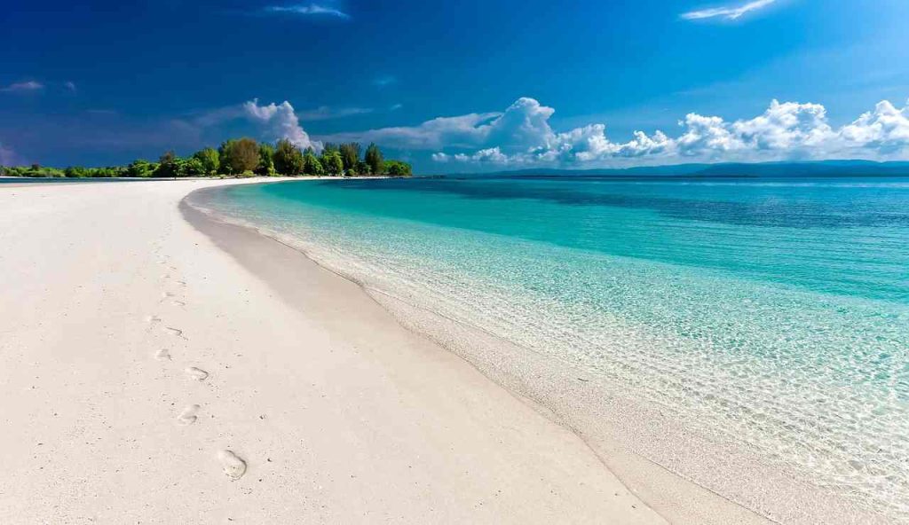 Illustrazione di una spiaggia tropicale (Pixabay FOTO) - marinecue.it