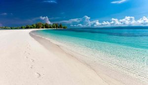 Illustrazione di una spiaggia tropicale (Pixabay FOTO) - marinecue.it
