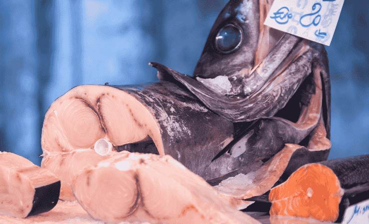 Pesce spada in vendita