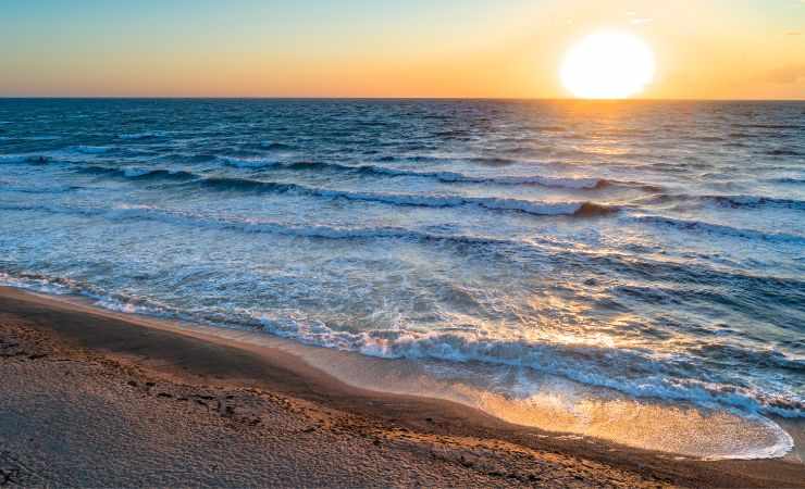 Mare
