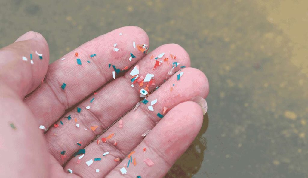 microplastiche in mano