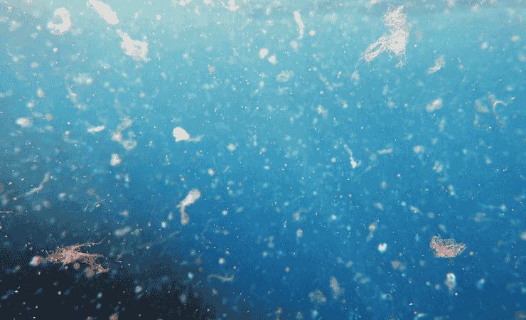 microplastiche in mare