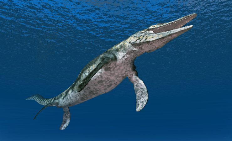 mososauro in 3d