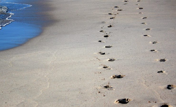 Un mostro preistorico che minacciava le comunità