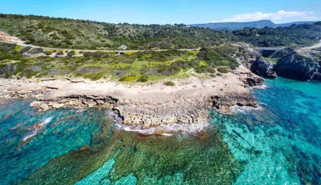 Sardegna enorme balena arenata nascosta pini statua