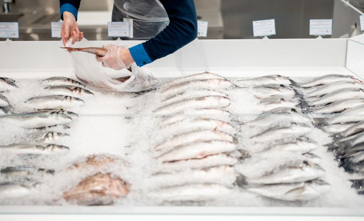 Pescheria