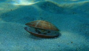 Future scoperte scientifiche, ci attendono