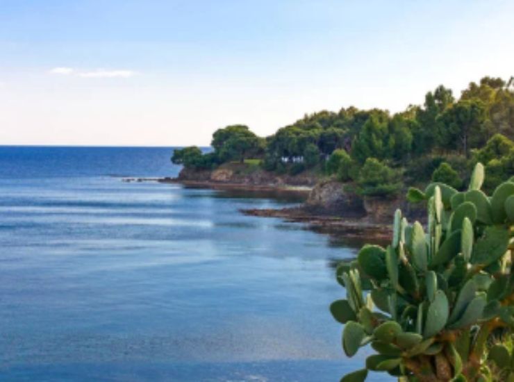 Cilento