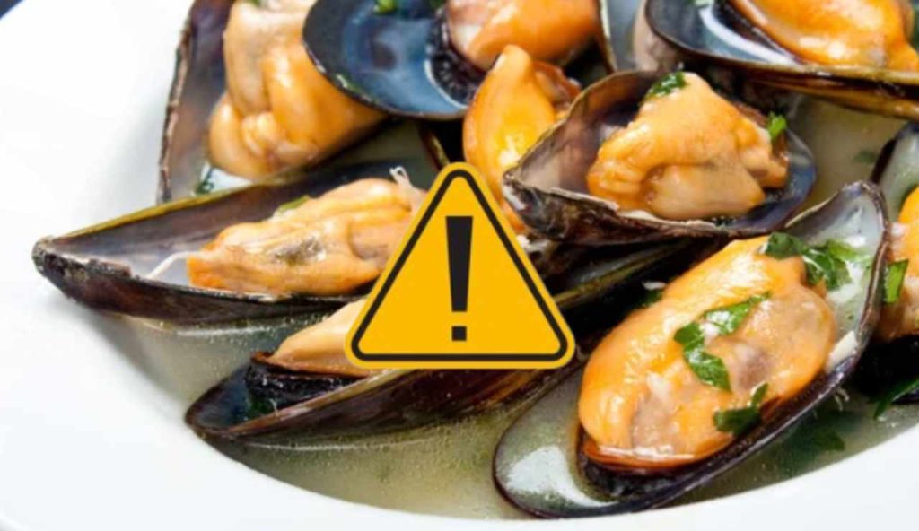 Cozze e pericoli (Depositphotos foto) - www.marinecue.it