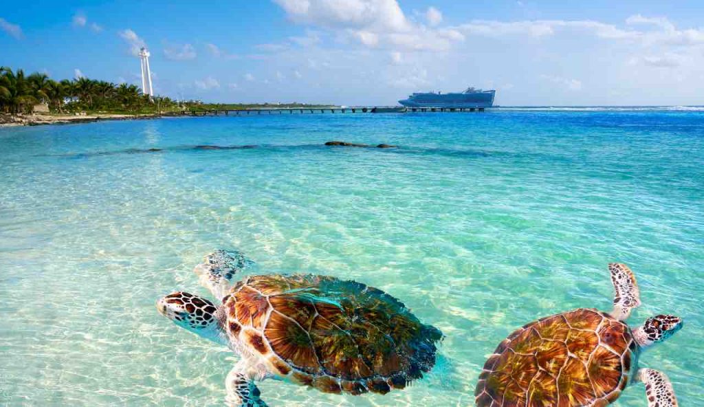 Hanno lasciato spazio a un'altra spiaggia