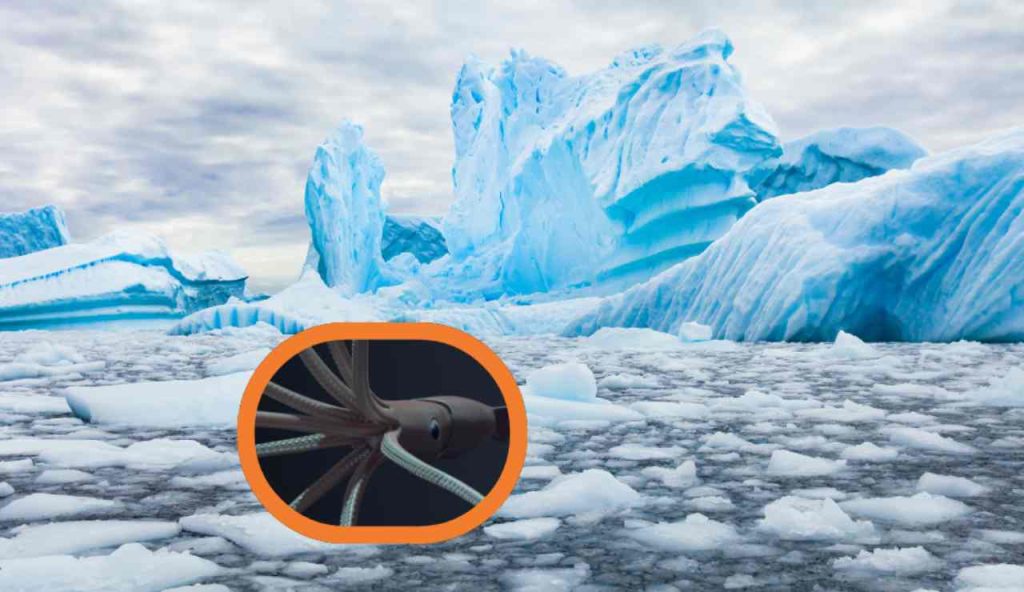 Illustrazione dell'Antartide (Canva FOTO) - marinecue.it