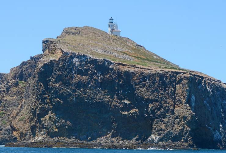 Illustrazione di Anacapa e del suo faro (Canva FOTO) - marinecue.it