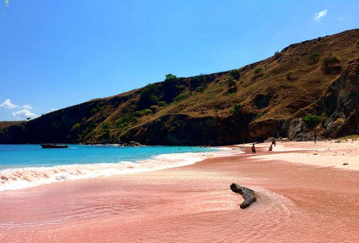 Illustrazione di Pink Beach (Canva FOTO) - marinecue.it