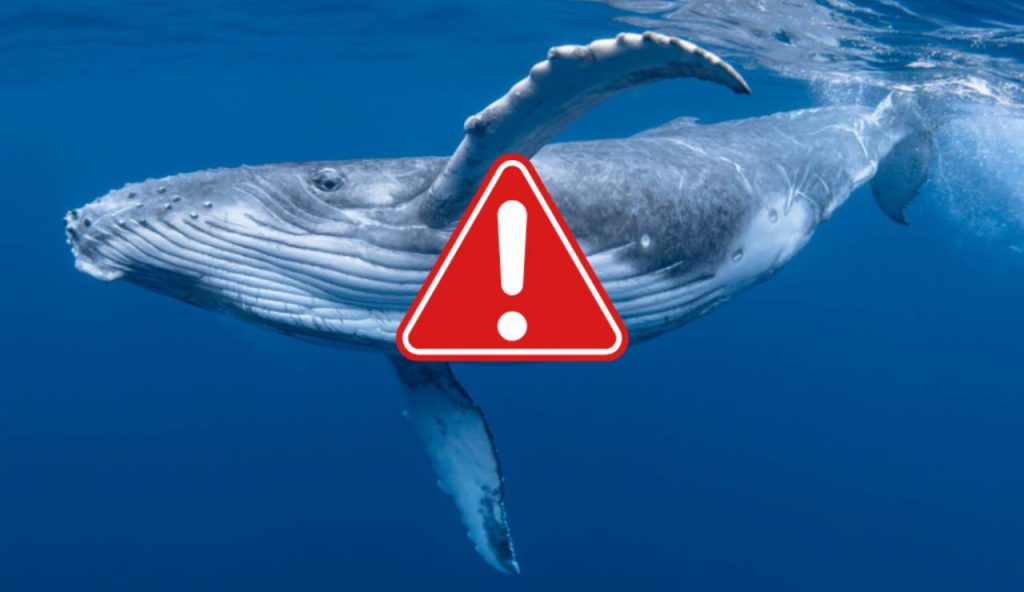Illustrazione di un allarme (Canva FOTO) - marinecue.it