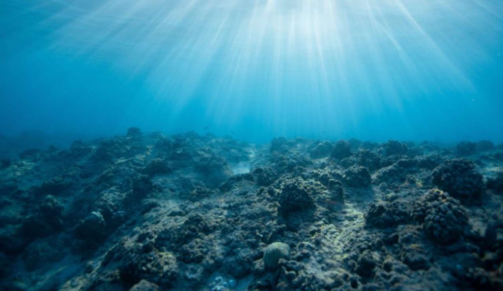 Illustrazione di un fondale (Canva FOTO) - marinecue.it