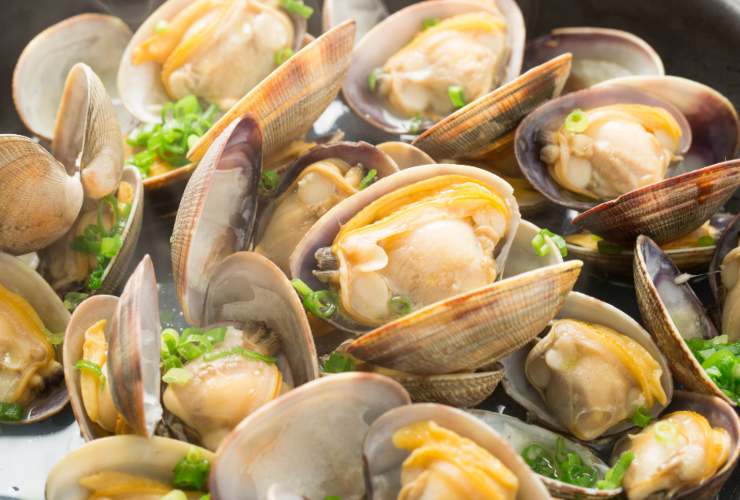 Illustrazione di un piatto di vongole (Canva FOTO) - marinecue.it