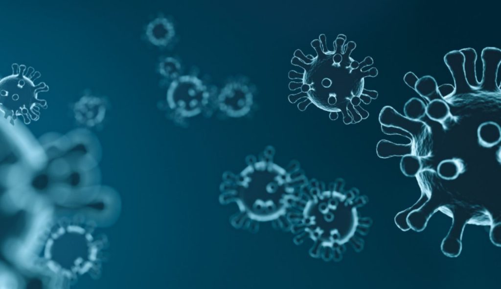 Illustrazione di un virus (Canva FOTO) - marinecue.it