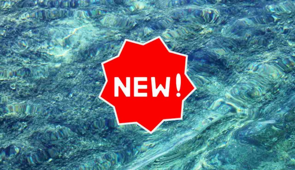 Illustrazione di una nuova scoperta (Canva FOTO) - marinecue.it