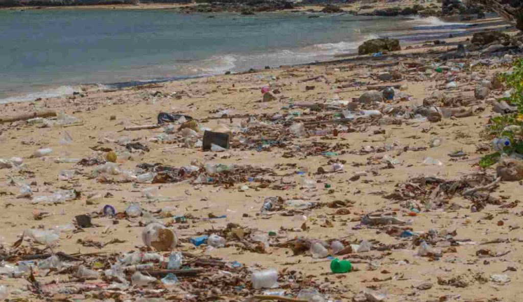 Illustrazione di una spiaggia distrutta (Canva FOTO) - marinecue.it