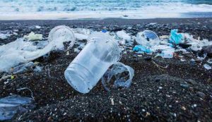 Illustrazione di una spiaggia inquinata (Canva FOTO) - marinecue.it