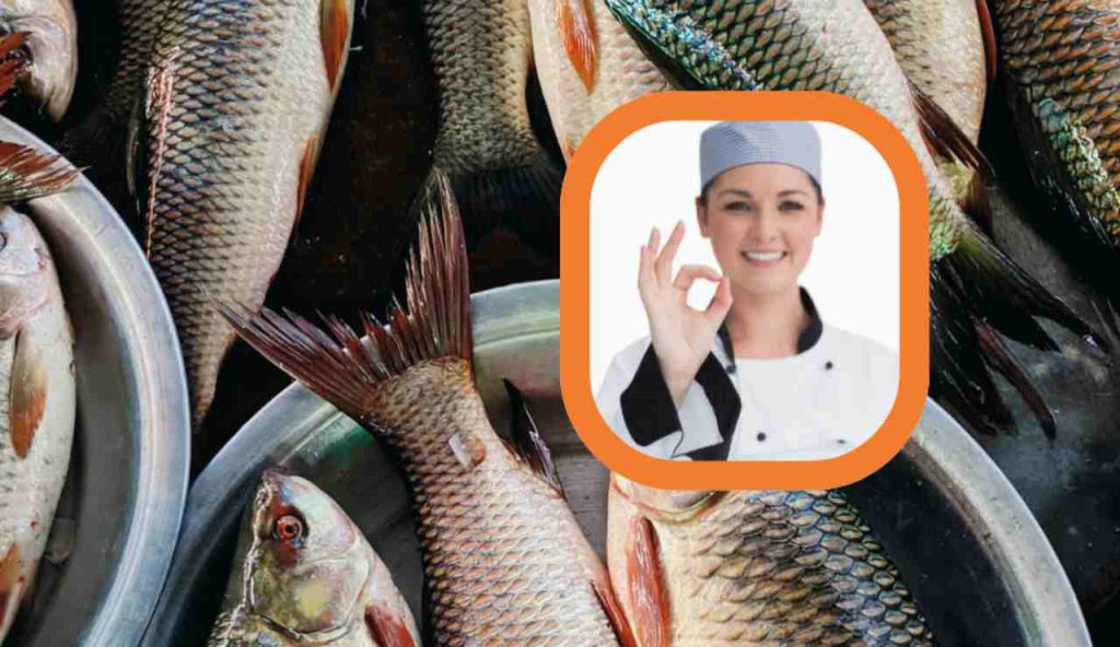 Illustrazione di uno chef che dà l'ok (Canva FOTO) - marinecue.it