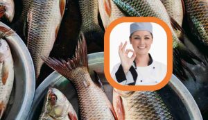 Illustrazione di uno chef che dà l'ok (Canva FOTO) - marinecue.it