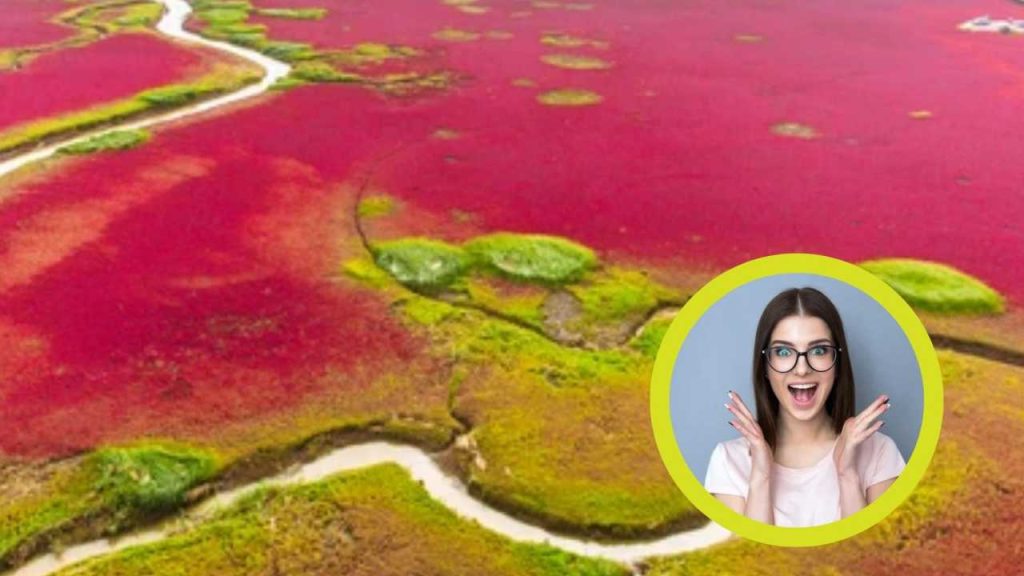 La spiaggia rossa