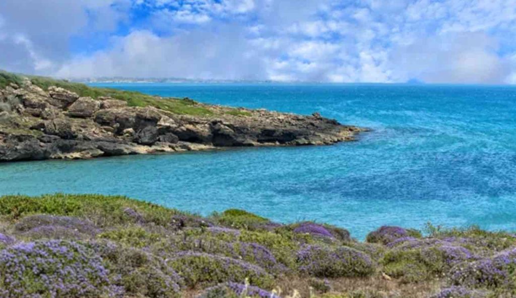 Mare siciliano