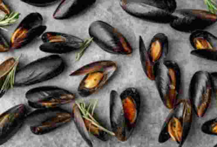 Cozze