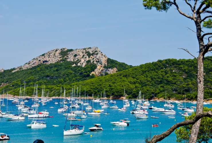 Illustrazione di Porquerolles (Canva FOTO) - marinecue.it